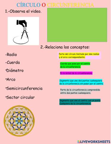 Círculo o circunferencia