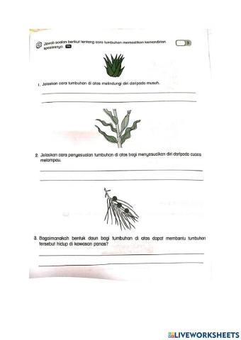 Cara Tumbuhan Mengekalkan Kemandirian Spesies