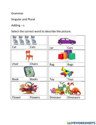 Adding s