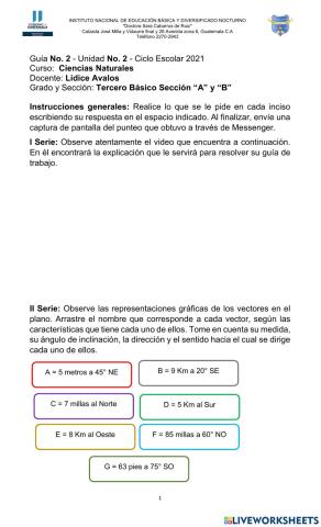 Representación de vectores