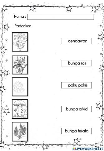 Sains tahun 1:tumbuhan berbunga dan tidak berbunga