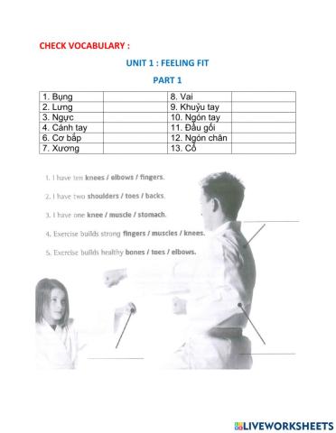 Check vocabulary: feeling fit