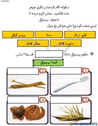 Bersugi - Amalan Lazim Darjah 2