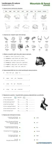 Mountain landscape 2: vocab and has-have
