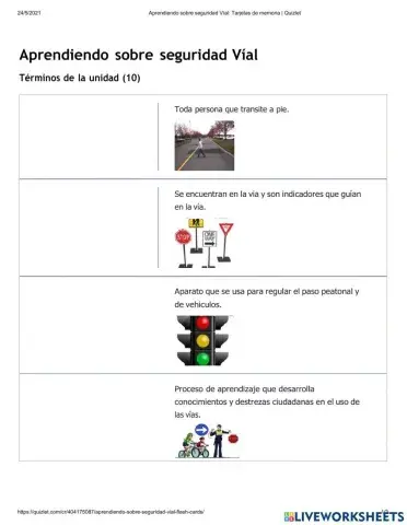 Conceptos Seguridad y Educación Vial
