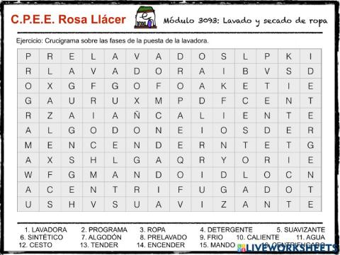 Crucigrama fases de la lavadora