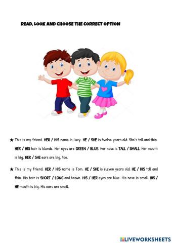 Choose the correct option