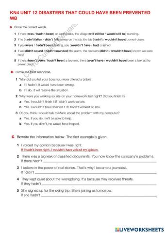 Thid and mixed conditionals