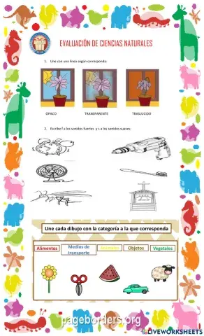 Evaluación de ciencias