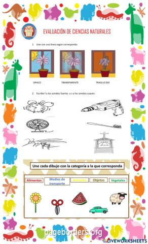 Evaluación de ciencias