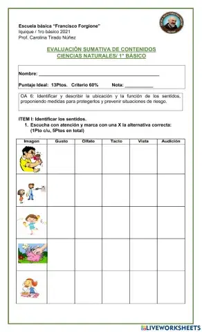 Evaluación de los  cinco sentidos