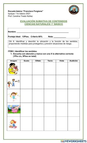 Evaluación de los  cinco sentidos