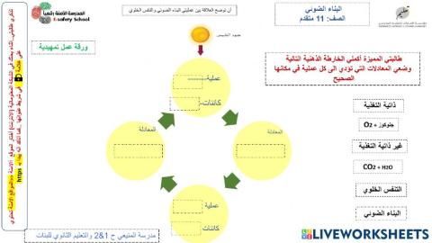 عملية البناء الضوئي