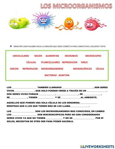 Microorganismos