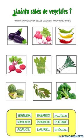 ¿cuánto conoces de vegetales?