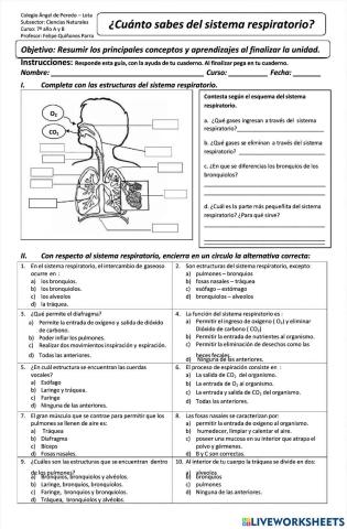 La respiracion hhumana