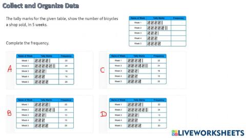Review Collect and Organize Data