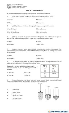 Ficha Leyes de  los Gases 2