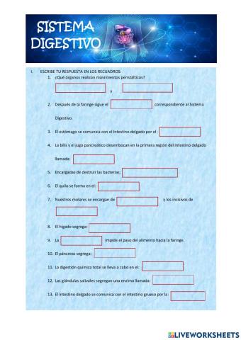 Sistema Digestivo
