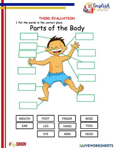 Vocabulary Exam 4 GESB