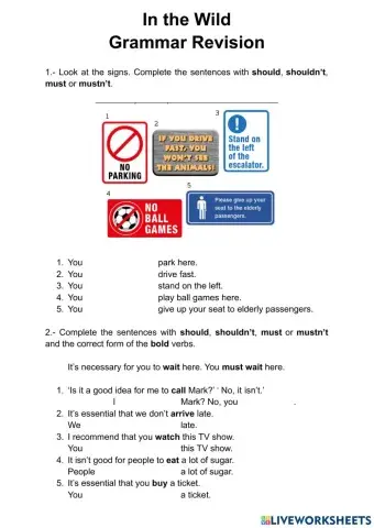 In the Wild Grammar Revision