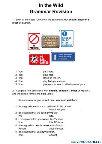 In the Wild Grammar Revision