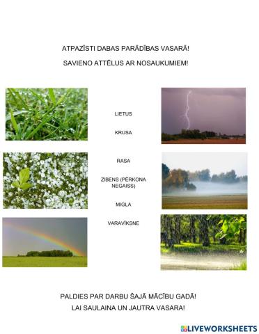 DABAS PARĀDĪBAS 1.1.KLASE