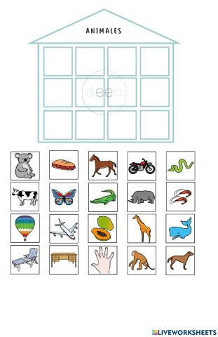 Categorías semánticas