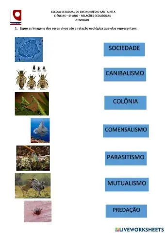 Relações Ecológicas