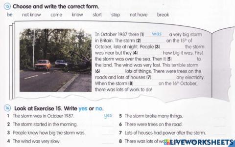 Past simple - irregular verbs, regular verbs