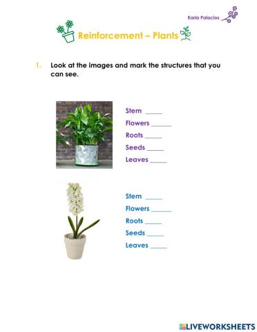 Plants - reinforcement