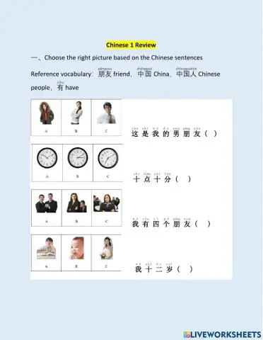 Chinese 1 review-question words