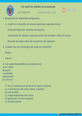 Aparato reproductor MASCULINO