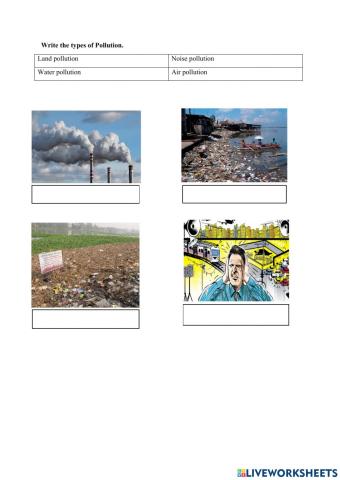 English Special Education