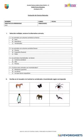 Evaluación de los animales