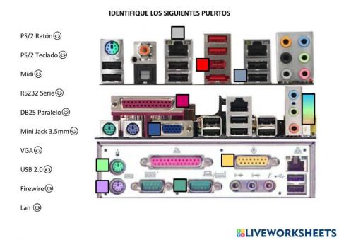 Identificación Puerto Tarjeta Madre