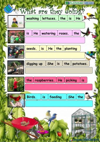 Put in order the sentences (Amazing Rooftops 4, Unit 6)