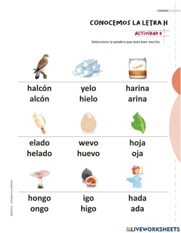 Actividad 7 letra H
