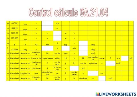 Control càlcul 6A.21.04