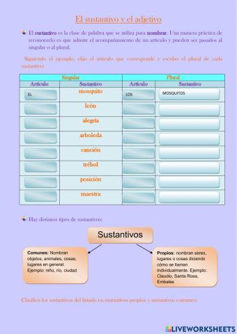 Sustantivos y adjetivos