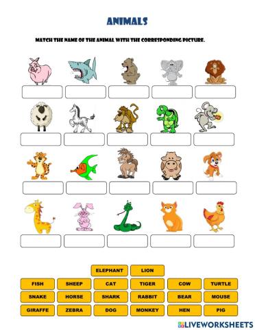 Vocabulary of animals