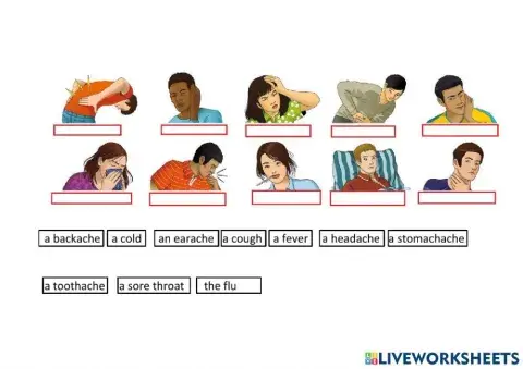 Interchange INTRO unit 12