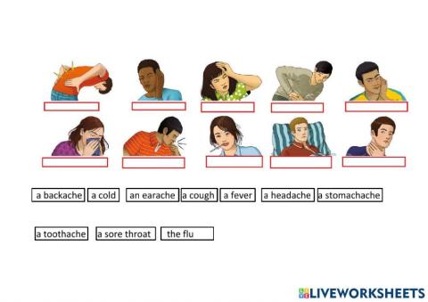 Interchange INTRO unit 12