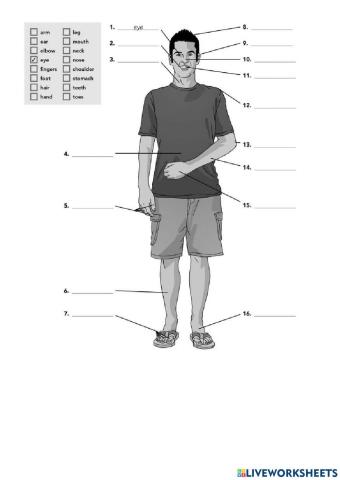Interchange INTRO UNIT 12