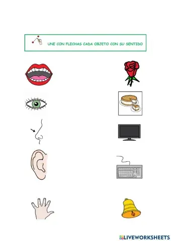 Une con flechas cada objeto con su sentido