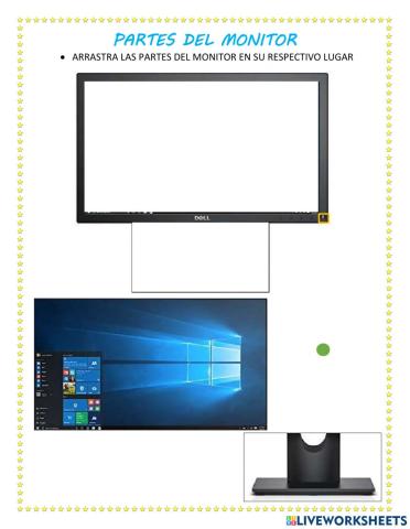 Partes del Monitor y Mouse