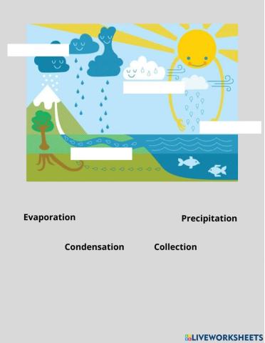 Water cycle