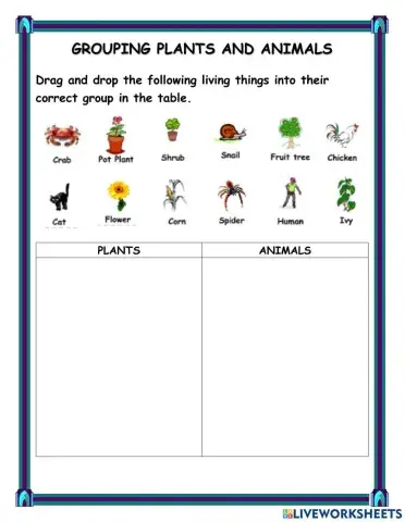 Living Things - Plants and Animals