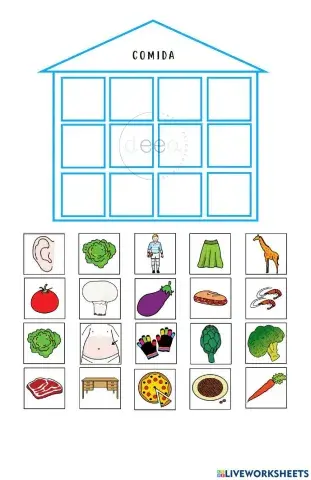 Categorías semánticas
