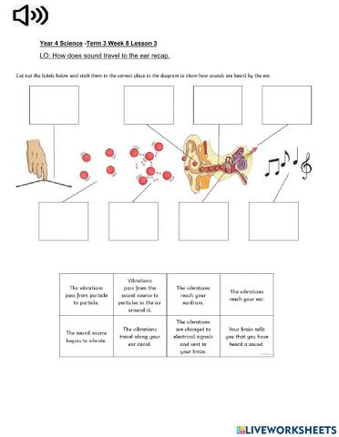 DIS Science Term 3 Week 8 Lesson 3 (independent)